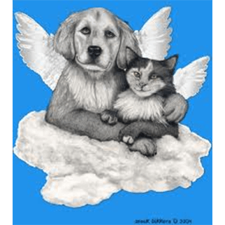 pet angels