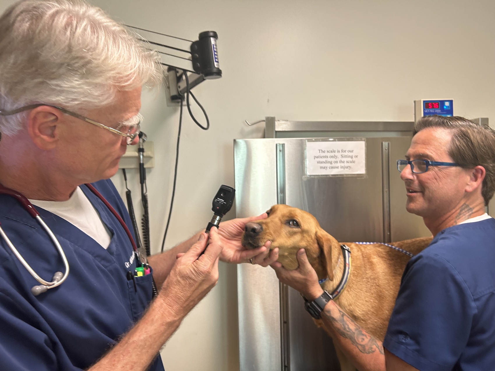 Switzerland Animal Hospital