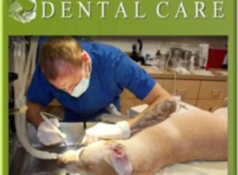 Stages of Periodontal Disease